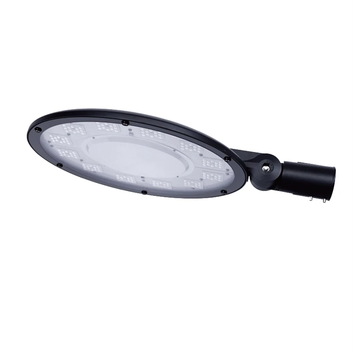 Luz de jardín LED de 100W